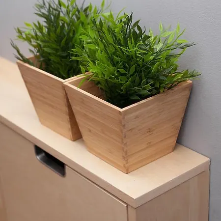 Hostel Krakow Color Sarego אכסניה