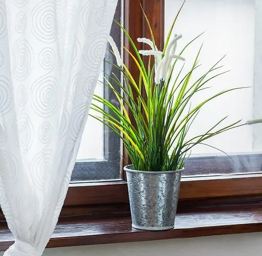 بيت شباب Hostel Krakow Color Sarego كراكوفيا