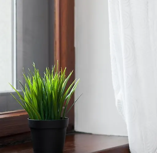 بيت شباب Hostel Krakow Color Sarego *