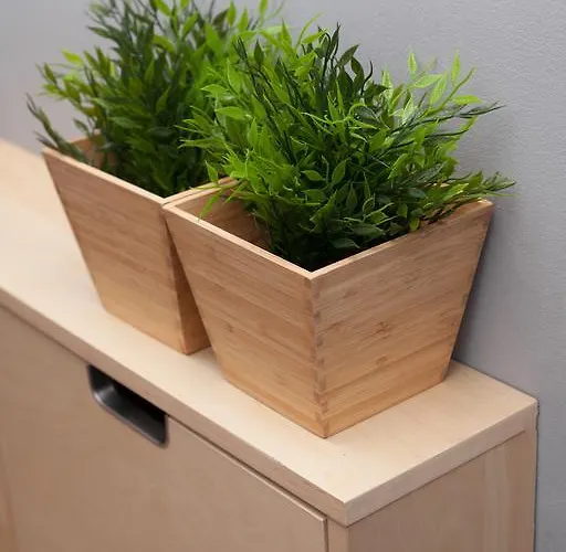 Hostel Krakow Color Sarego بيت شباب