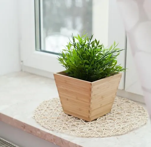 بيت شباب Hostel Krakow Color Sarego *