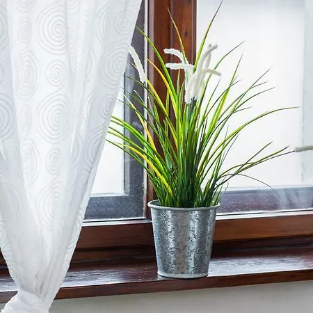 Albergue Hostel Krakow Color Sarego Cracóvia