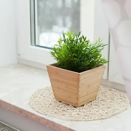 Albergue Hostel Krakow Color Sarego *